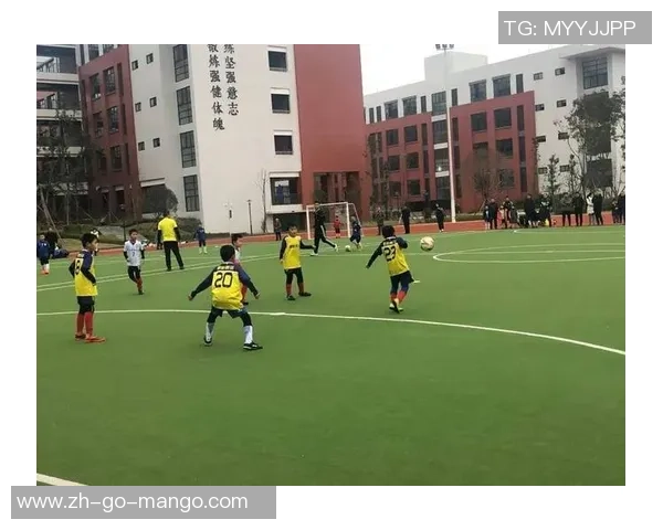 足球康纳的崛起与挑战解析如何在竞争激烈的赛场上脱颖而出